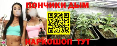 альфа пвп Кингисепп
