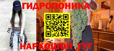 спайс Кинель