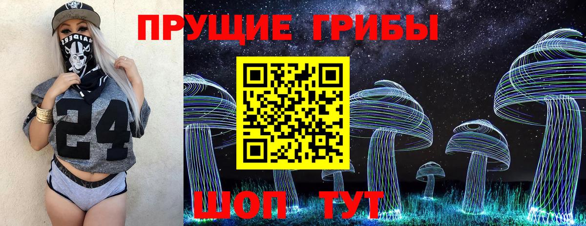 Псилоцибиновые грибы Cubensis Дубна