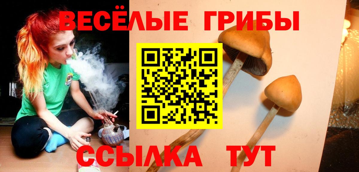 Галлюциногенные грибы мухоморы  Вход с VPN  Дубна 