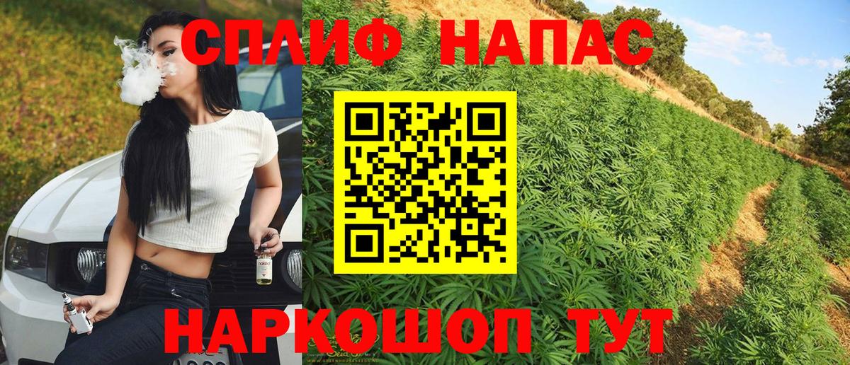 Канабис индика  Канабис White Widow  Канабис SATIVA & INDICA  Канабис тримм  Дубна  Вход с VPN 